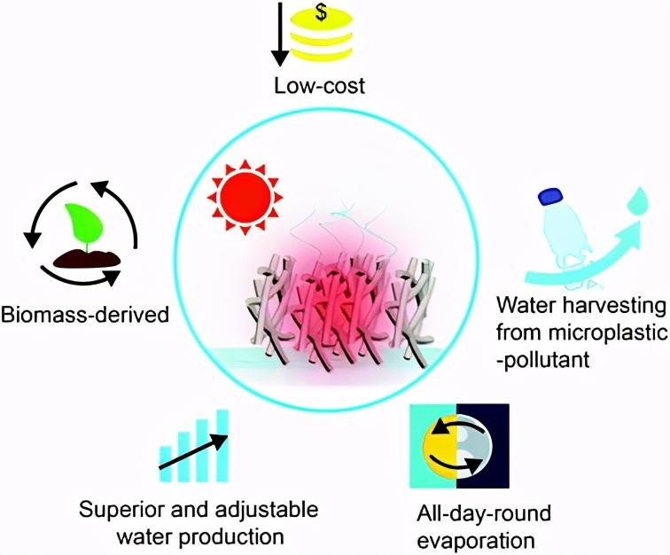 67东南大学代云茜全天太阳能蒸发平台从微塑料污染中收集清洁水