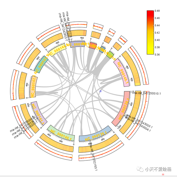 使用TBtools绘制Circos图 - 知乎