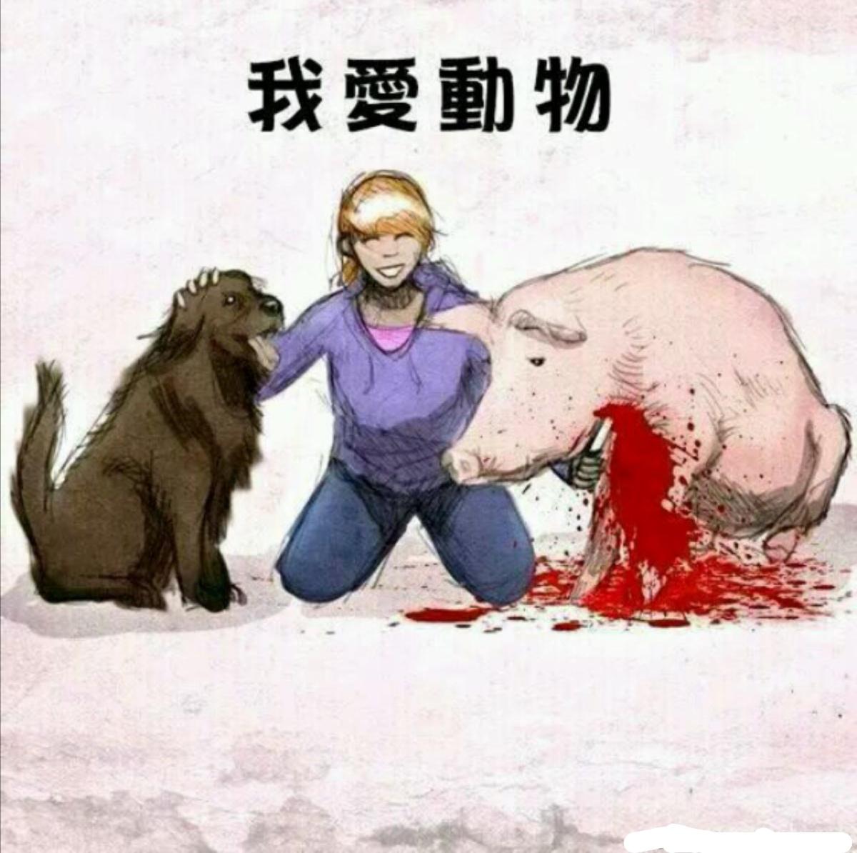 怎么看待爱狗人士说"生命皆平等,万物皆有灵"?