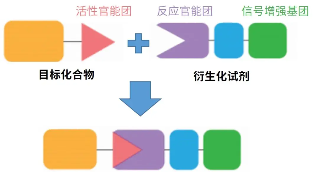化学衍生化结合质谱分析在代谢产物鉴定研究中的应用 - 知乎