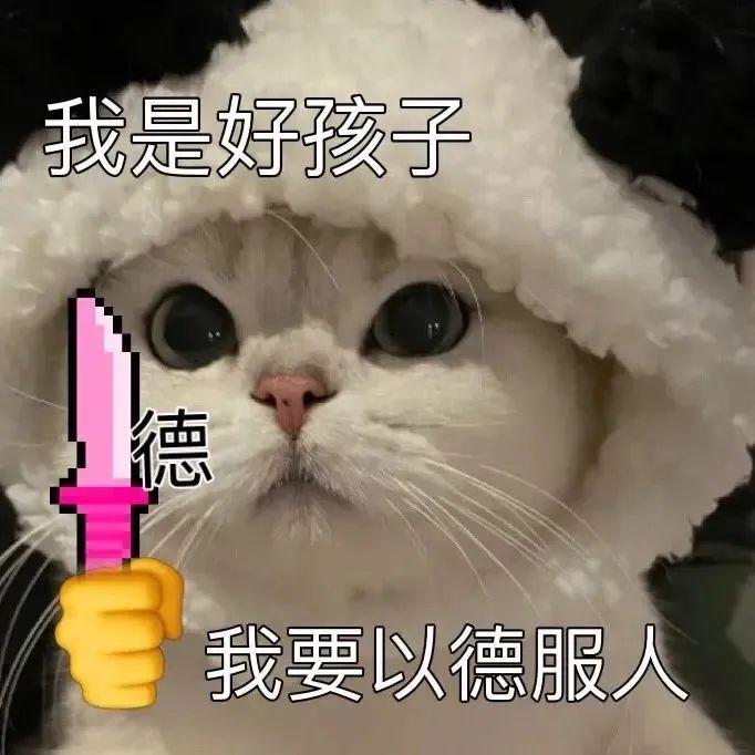 120张万能的表情包推荐-万能表情图片大全