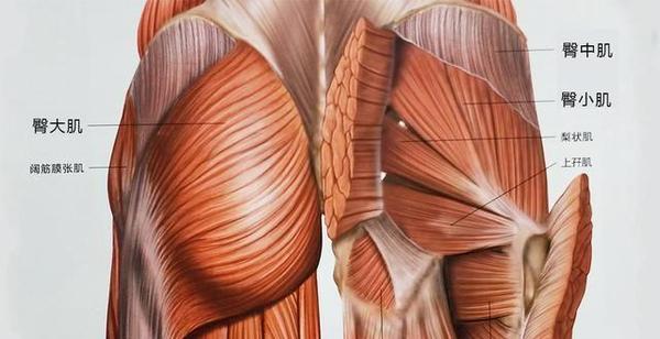 对于久坐的人,屁股下加个坐垫有用吗?