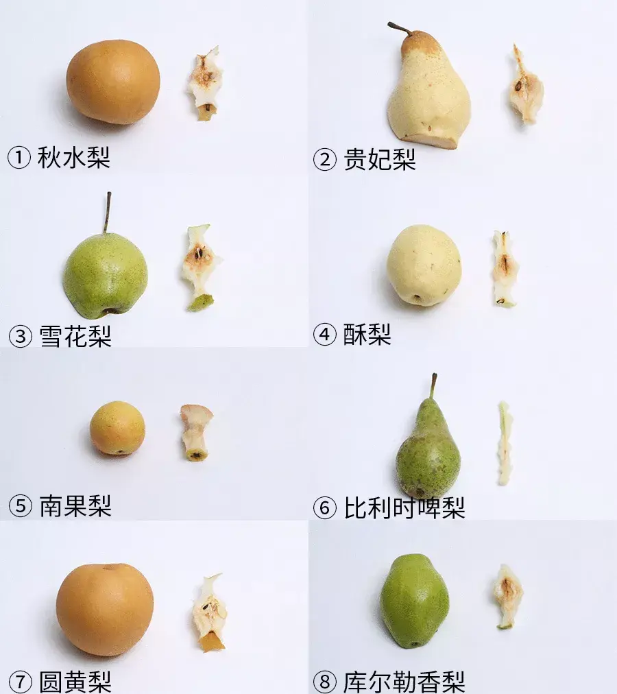 测评20多款梨,这3款梨最好吃,你觉得呢? - 知乎