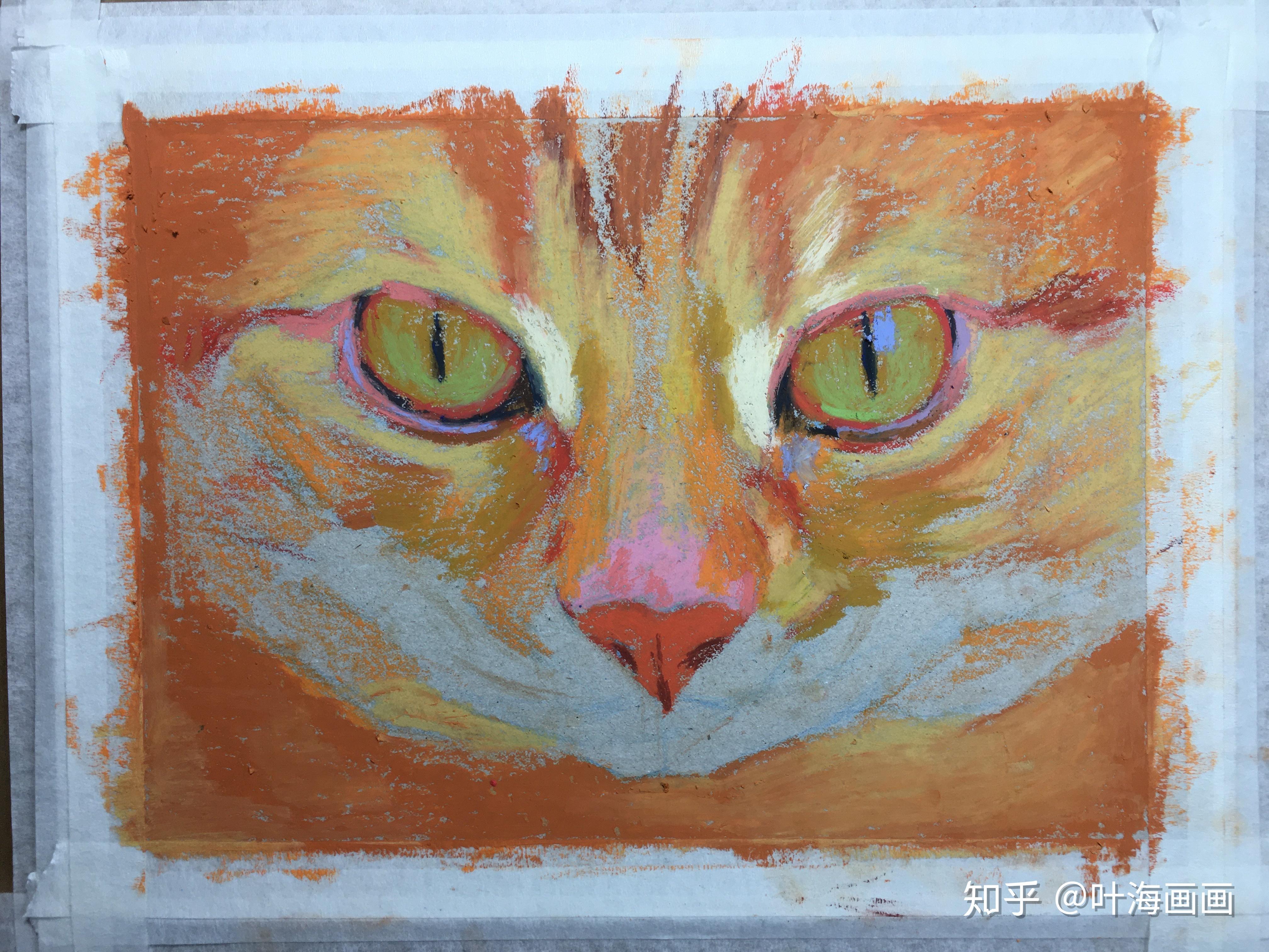 油画棒教程动物类写生手绘之高傲的猫步骤图