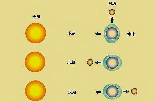 潮汐形成是月球引力作用被质疑是世纪谎言实质是天体质心变换