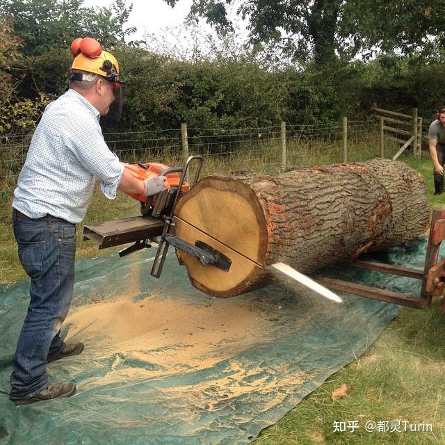 原木该如何切割使用、有何利弊?——弦切Plain Sawn、裂缝切Rift sawn、四分切Quarter sawn; - 知乎