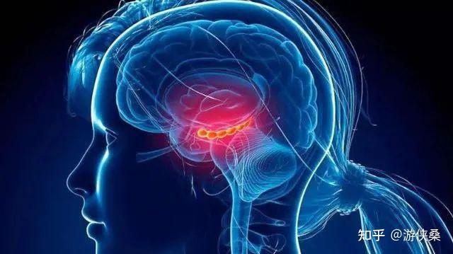 你的脑子不是你的脑子 - 知乎