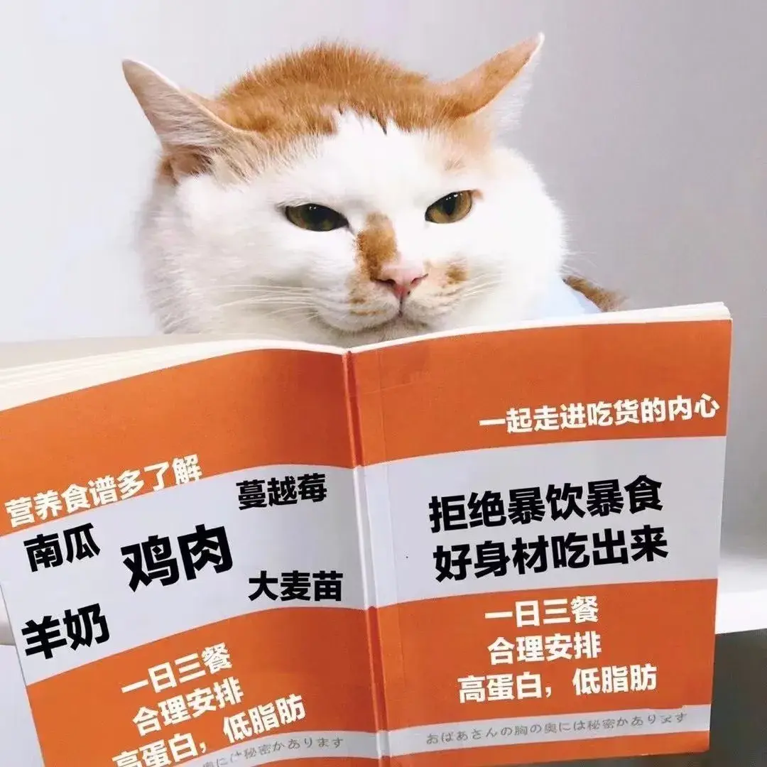 151张超好看的情侣头像-好看情侣的壁纸高清