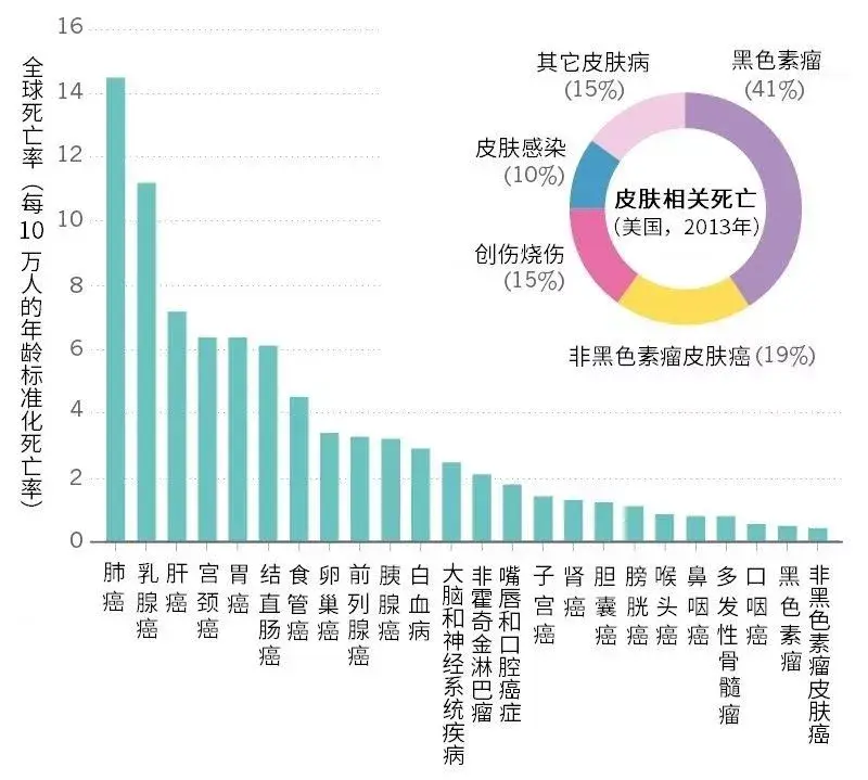 各肤色人口数量_中国各省人口数量(2)