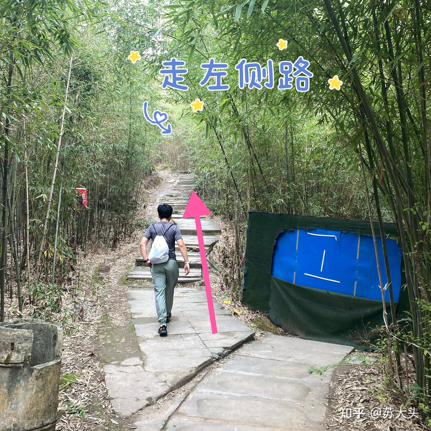 重庆徒步爬山圣地：缙云山免门票上山详细路线指引 - 知乎