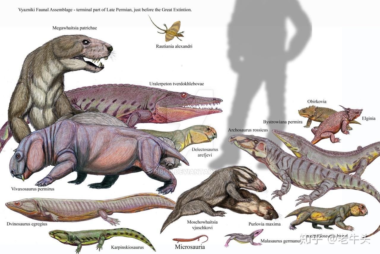 二叠纪生物大全图片