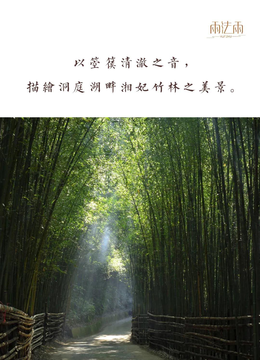 的音色清澈柔美,层次感丰富,将听者带入洞庭湖畔湘妃竹林的柔美意境中