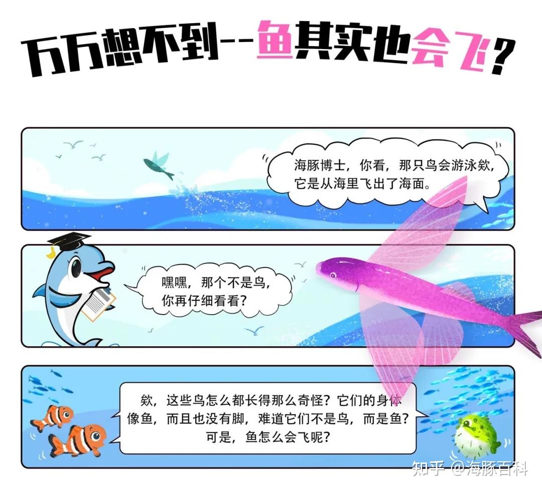 世界上竟然有会飞的鱼?来看看飞鱼就知道了 - 知乎
