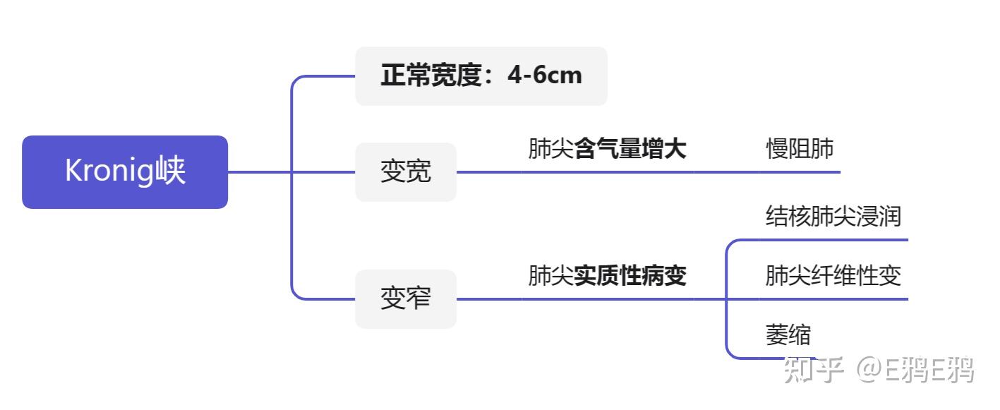 心脏浊音界叩诊画图图片