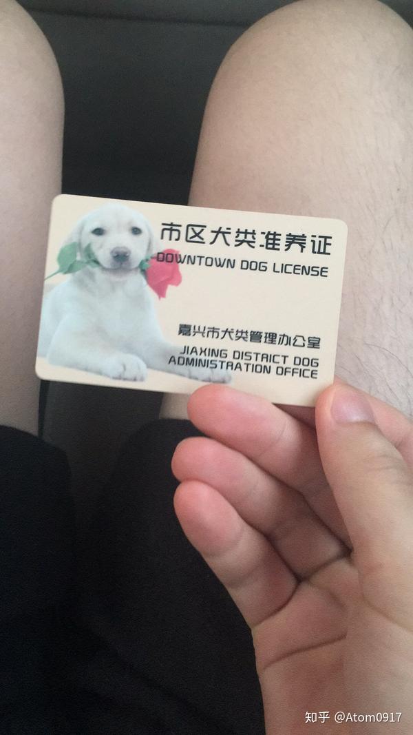哪种大型犬最便宜 什么品种的大型犬最便宜 Duboot网