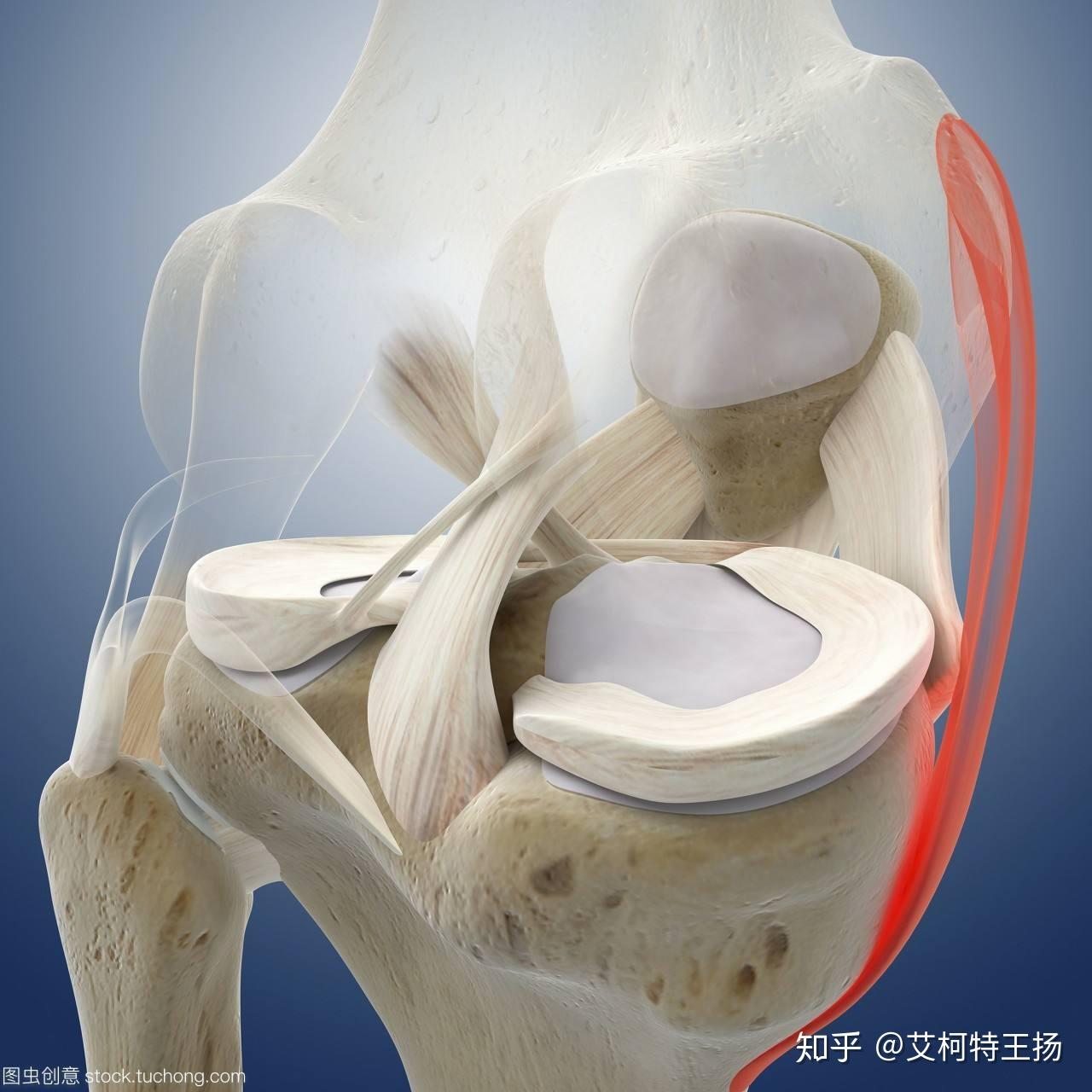 腰痛膝盖痛可能是它的问题天津艾柯特运动康复