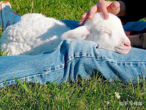 文案 有趣的英语朋友圈文案 知乎