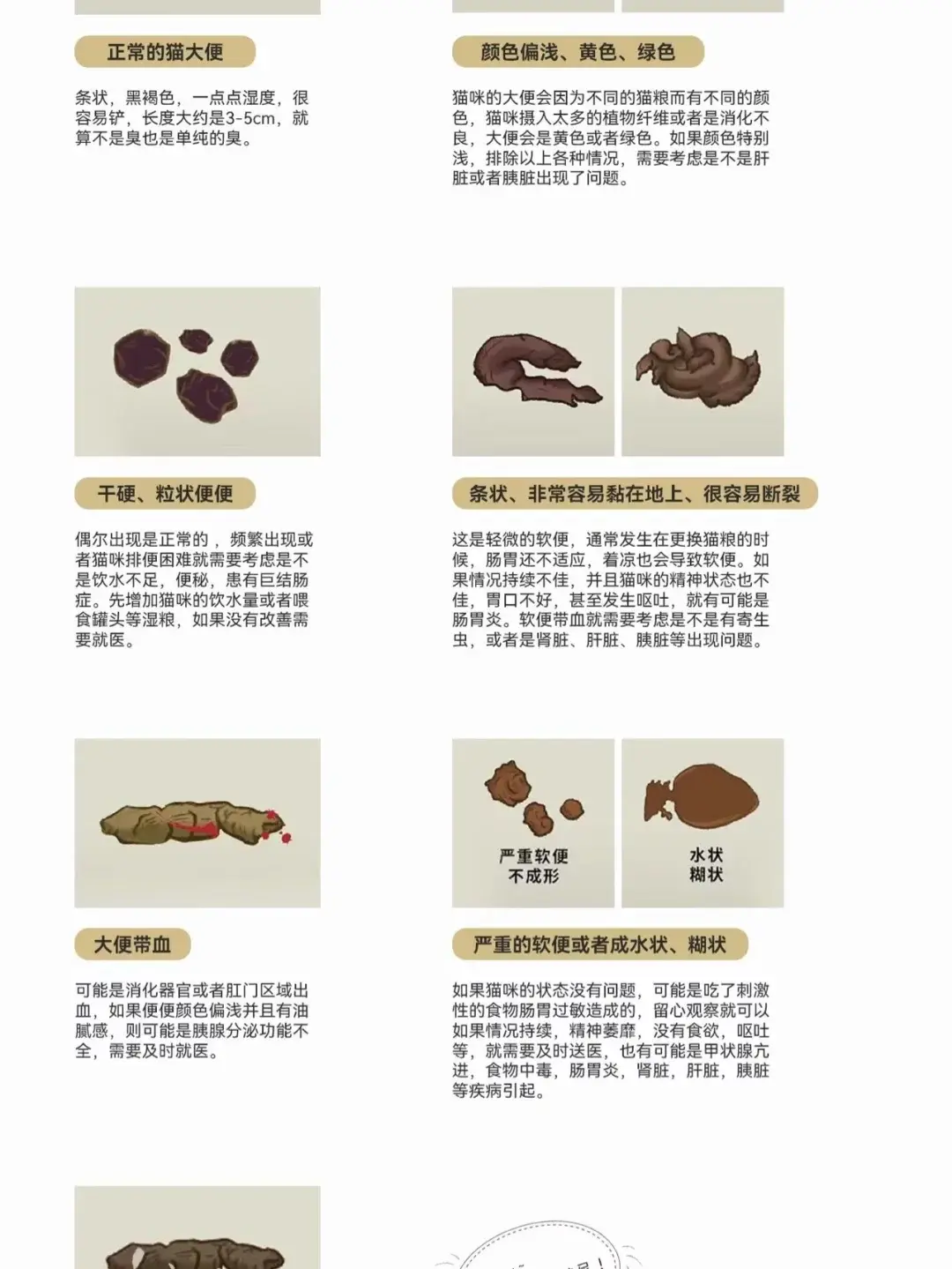 猫拉黑棕色的便便正常吗?如何通过猫咪的便便判断猫咪的健康 - 知乎