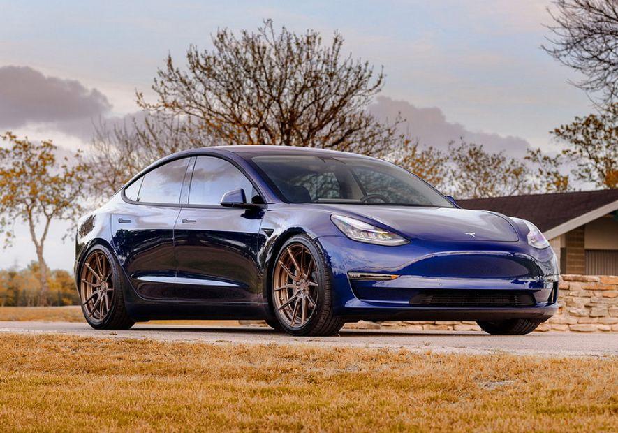 29万的特斯拉鲶鱼效应到底会重创谁