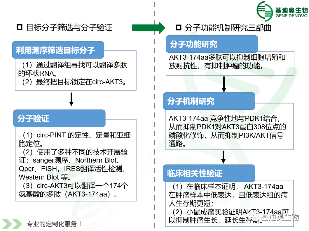 PI3K-AKT通路专题解析（下） - 知乎
