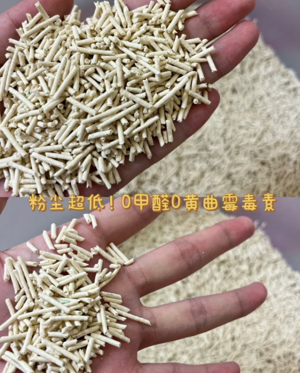 猫砂多久换一次能给猫咪创造更好的如厕空间?铲屎官必备宠物用品指南!