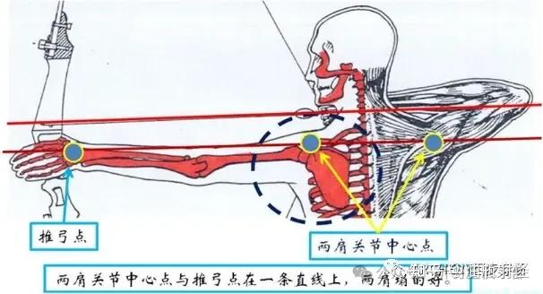 小拉距开弓,手肘为什么会抬高? - 知乎