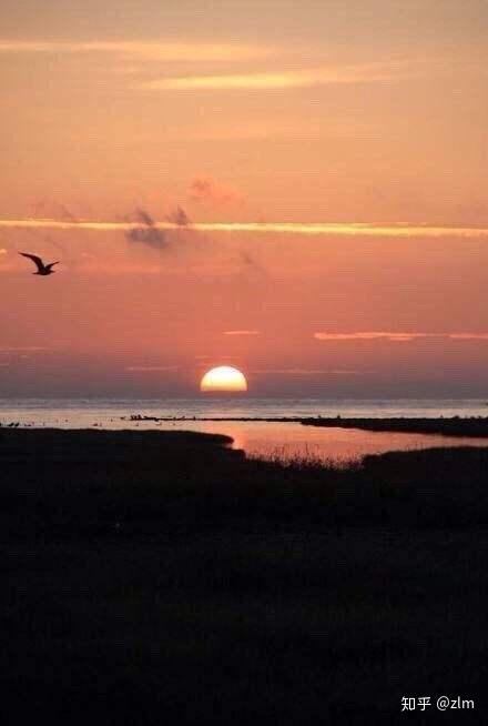 你最喜欢的很有画面感的诗词是哪一首?