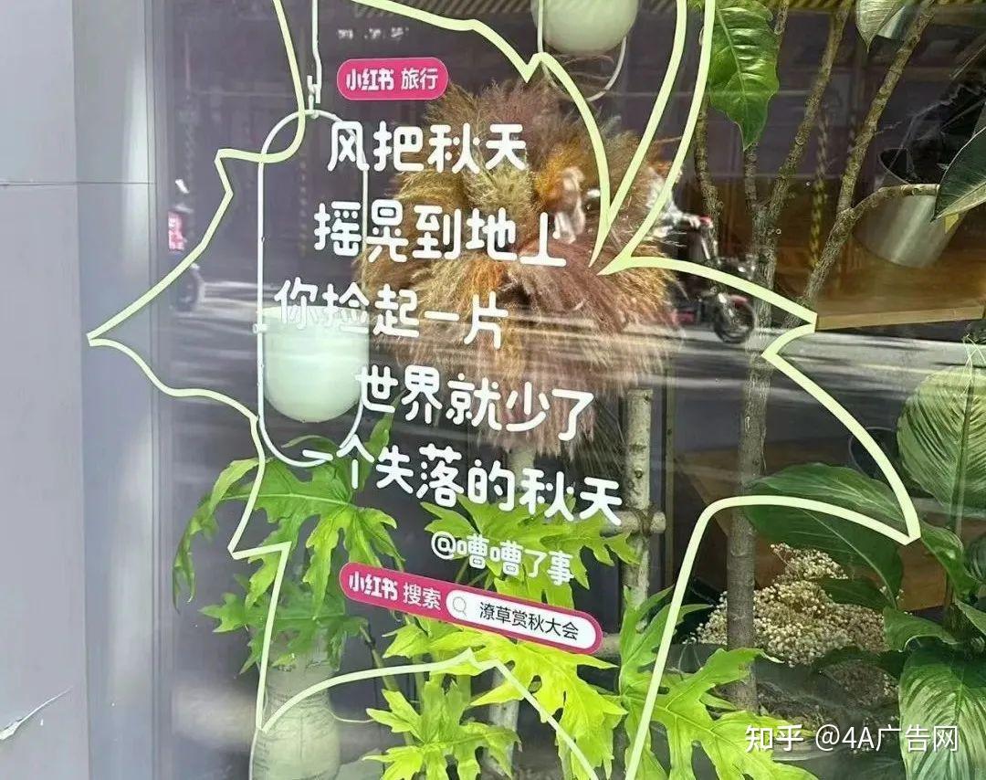 小紅書辦了一場潦草賞秋大會文案鬆弛感拉滿