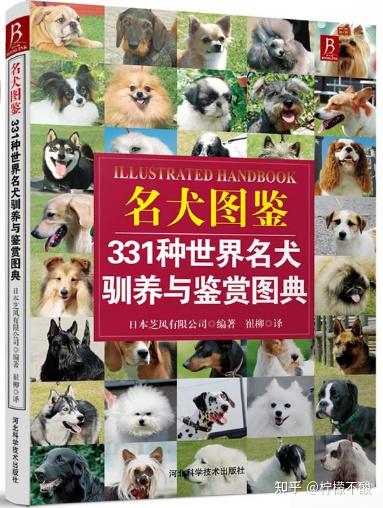 狗圈的这些事，你知道么（1） ——世界犬种分类 - 知乎