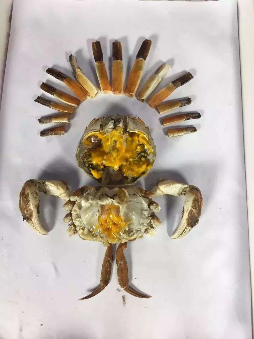 蟹壳制作的优秀作品是不是很有冲动自己也来创作一番呢那就快来买蟹蟹