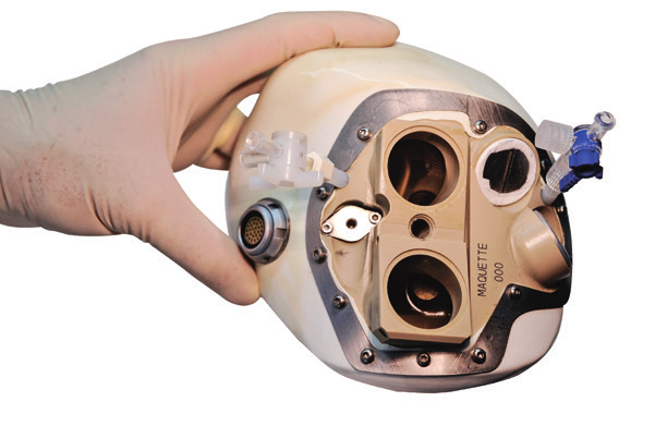 在2014年夏天发起的问卷调查表明,60%的法国人愿意在人体上安装机械臂