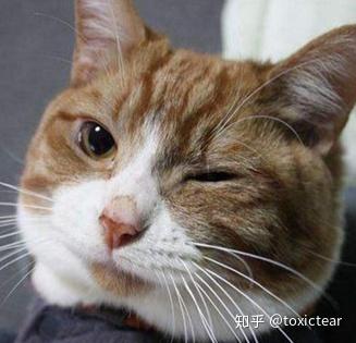 用眼霜时,如何避免出现脂肪粒又能消除眼下干