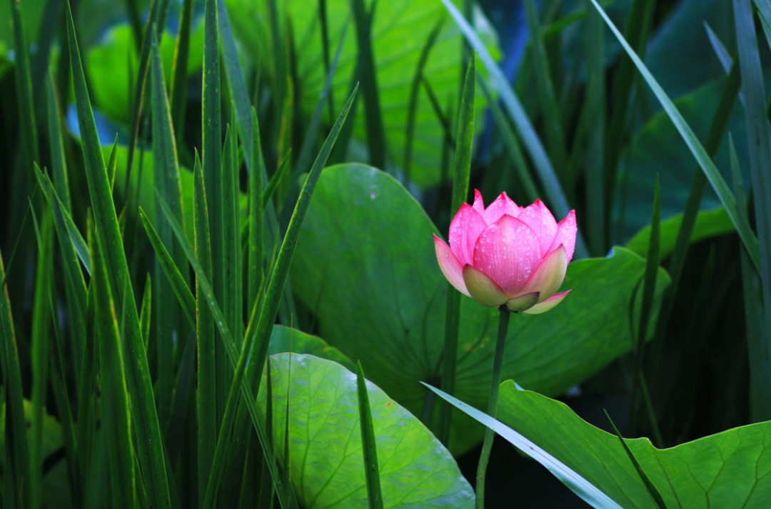 2020年总结一下自己