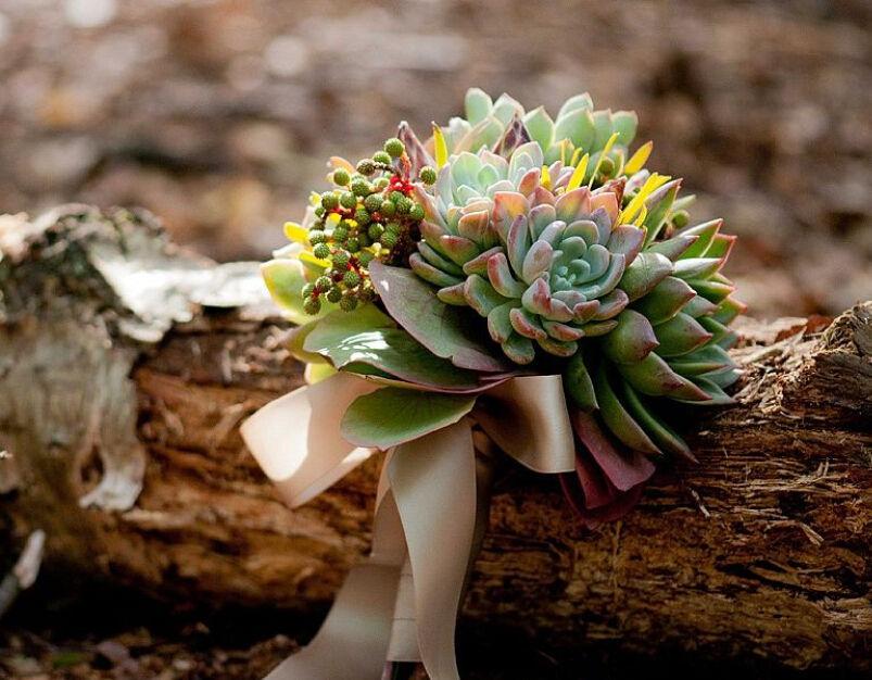 多肉手捧花看完想结婚