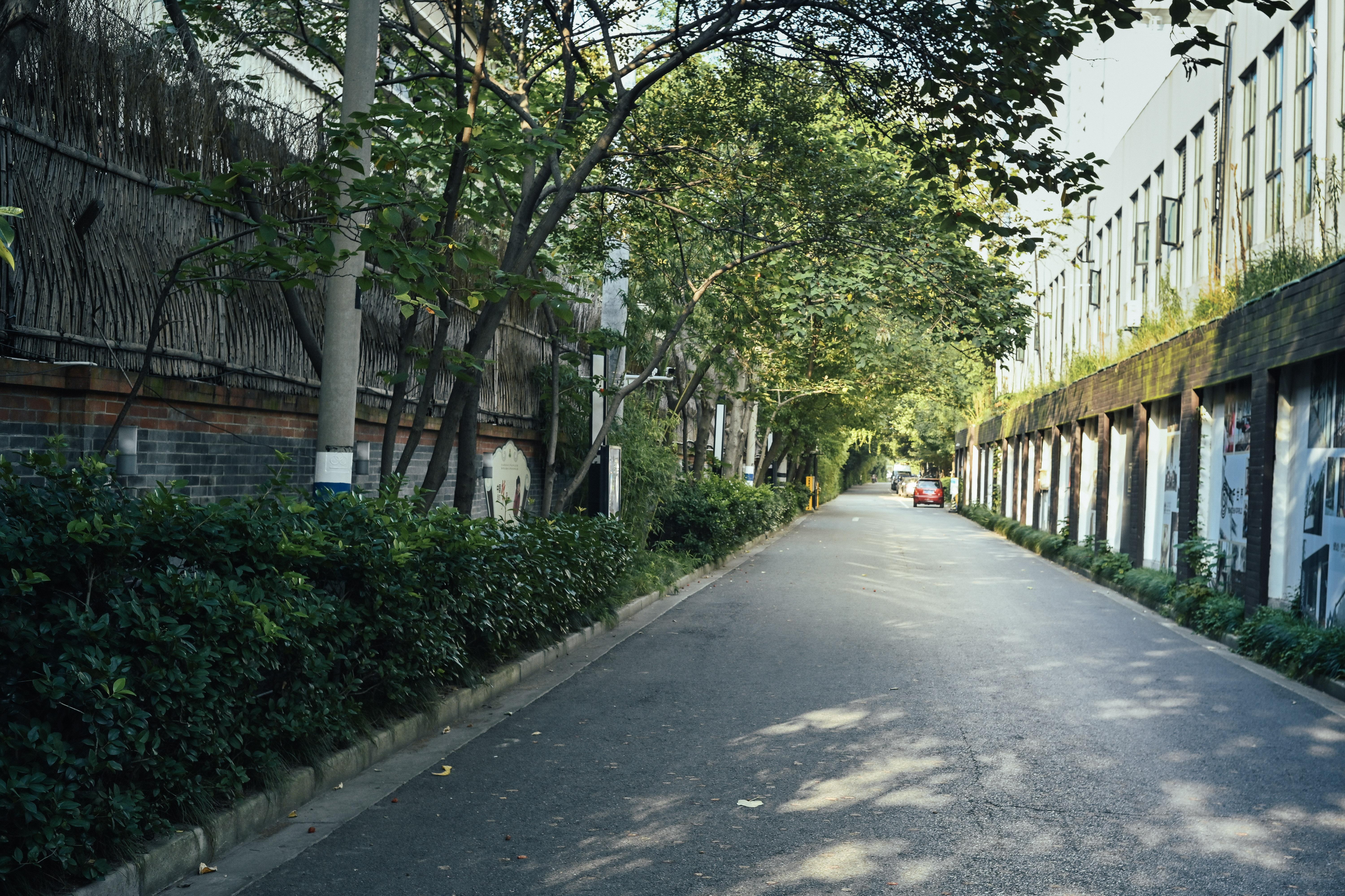 大宁路街道改造实例