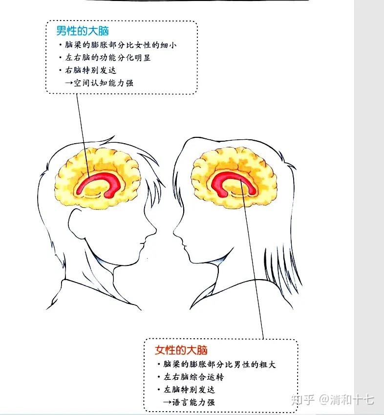 密码》这本书来讲,既有着生物学,遗传学的科学道理,还包含男女平等