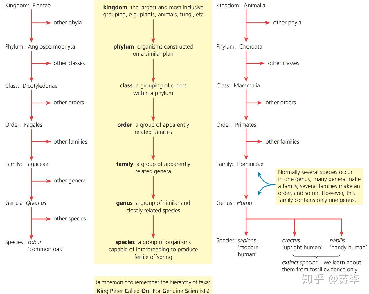 Topic 5.3 Classification of biodiversity （物种分类） - 知乎