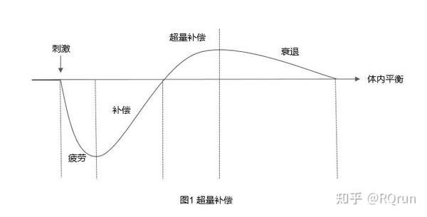 知识 | 一文搞懂周期训练 - 知乎