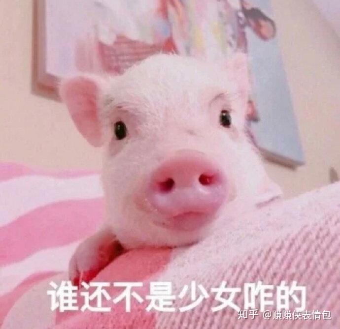 生疏了表情图 v2-13f8558470095f21cf9cd0377e56d4c3_r.jpg