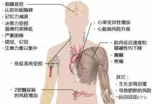 触手主播猝死