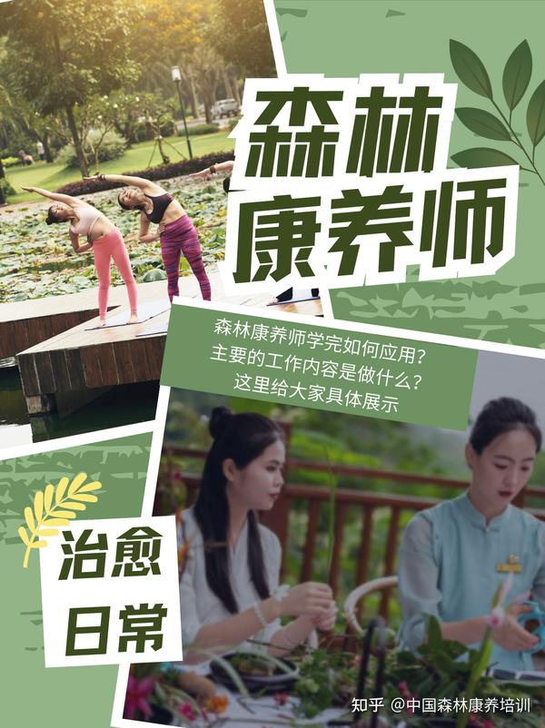 🦦治愈日常|森林康养师每天都在做什么? - 知乎