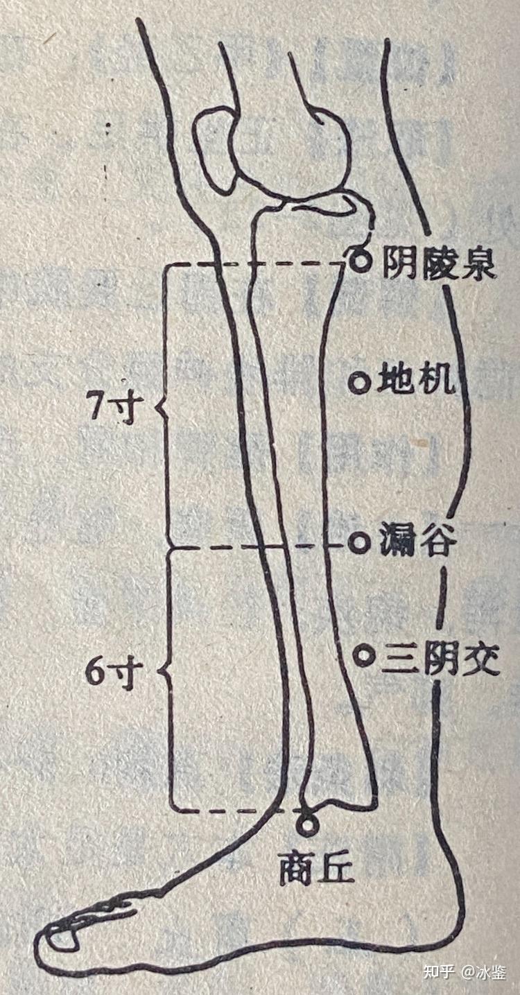 玉虚玄学风水课程,玉虚玄针十四经经穴,足太阴脾经经穴。 - 知乎