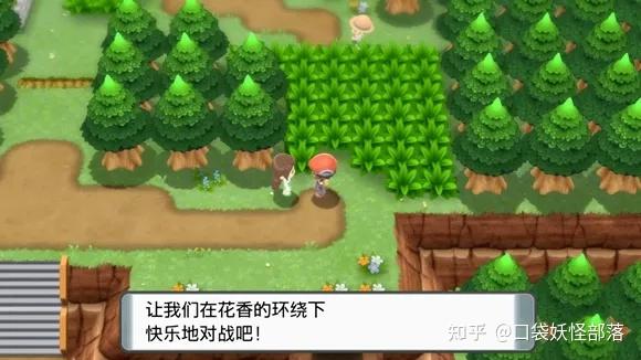 宝可梦晶灿钻石发售日期(《宝可梦晶灿钻石明亮珍珠》一周目图文攻略)  第37张