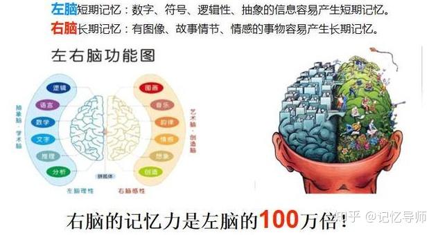 记忆力差反应迟钝联想记忆法快速提高记忆力