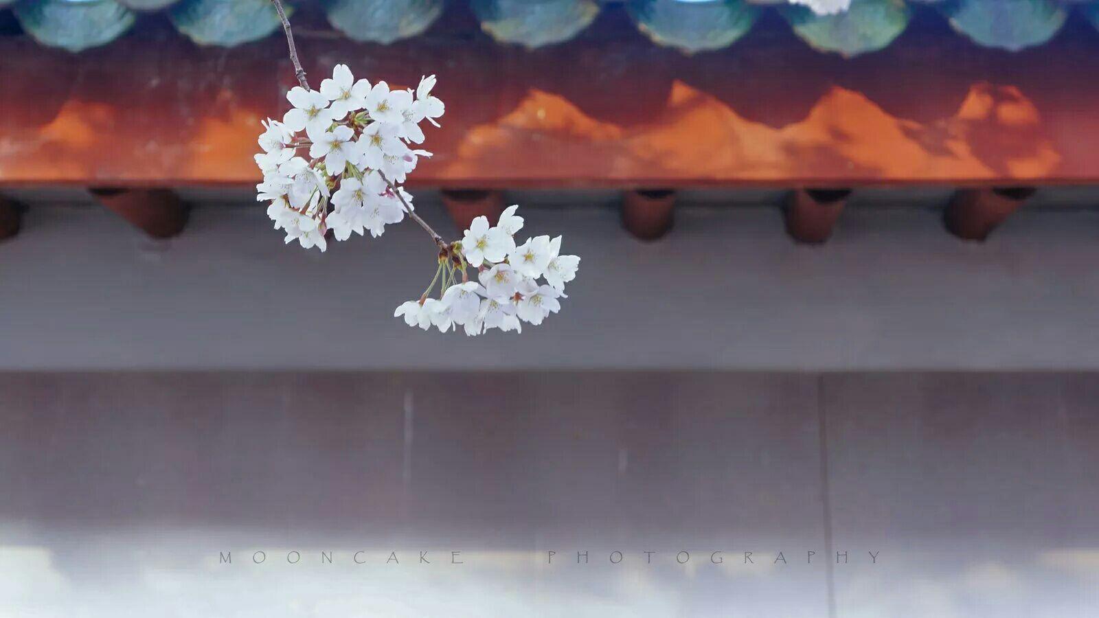 有哪些句子乍看并不是很美,但或经世事,或隔久