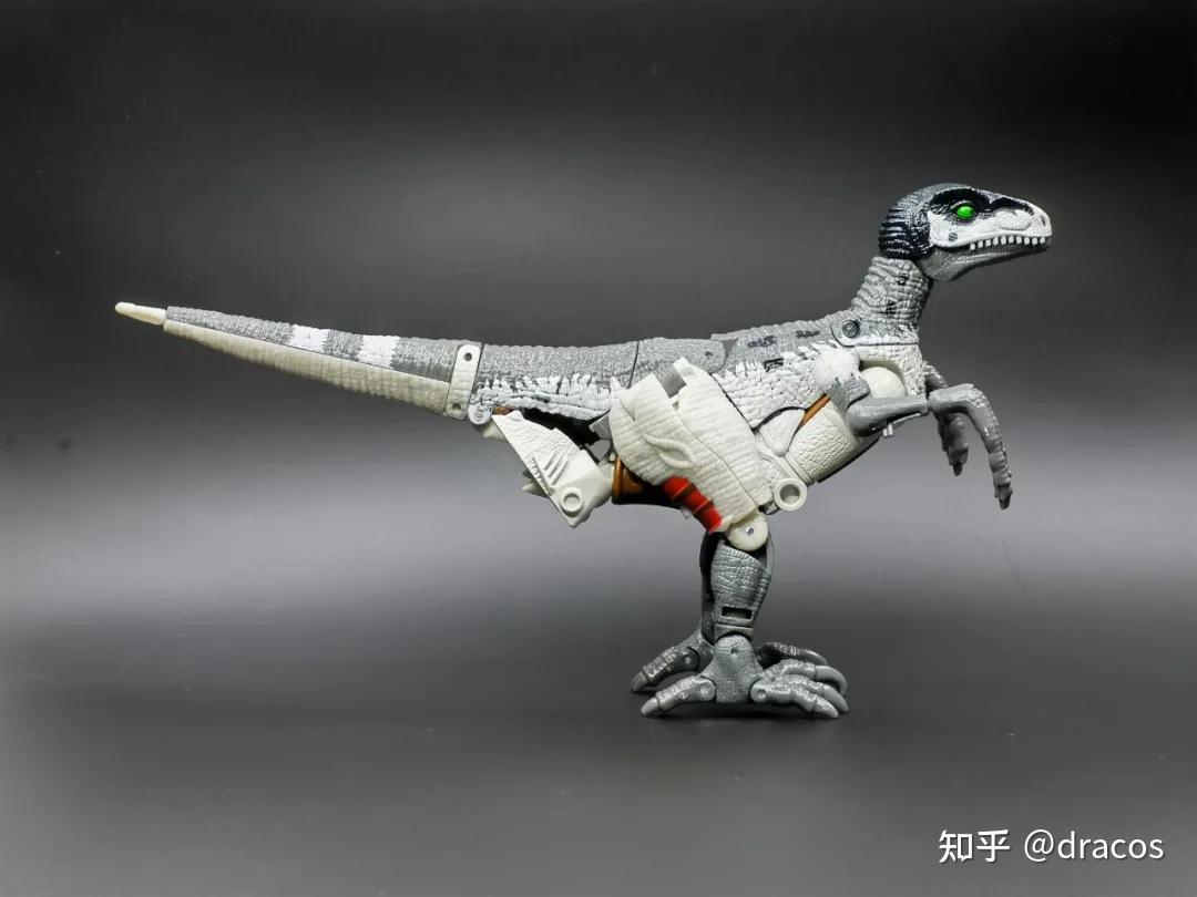 白色的迅猛龙——亚马逊限定王国钢锁开箱 - 知乎