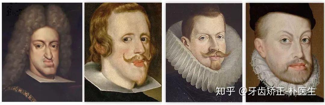 叱咤欧陆几百年的哈布斯堡王朝,也有这样一群脸弯弯下巴长长的贵族们.