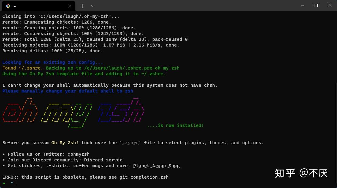  windows terminal zsh wsl 