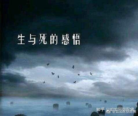 生与死的感悟