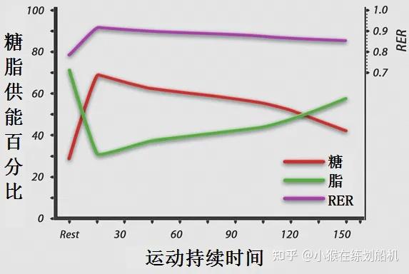 2025年618家用椭圆机推荐攻略:不看后悔、万字长文总结帮你解析椭圆机、避开智商税和其中猫腻、彻底告别选择困难~ - 知乎